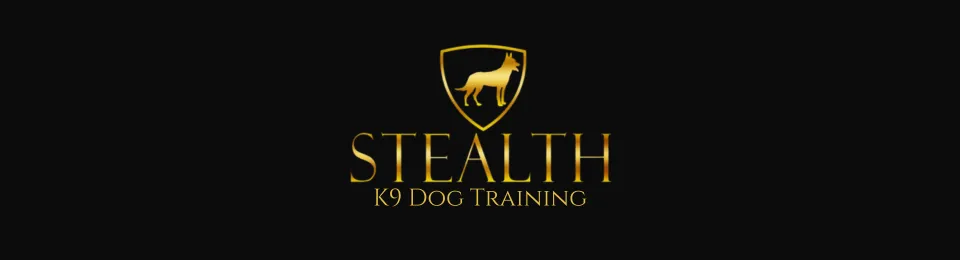 Stealth K9 Dog Training